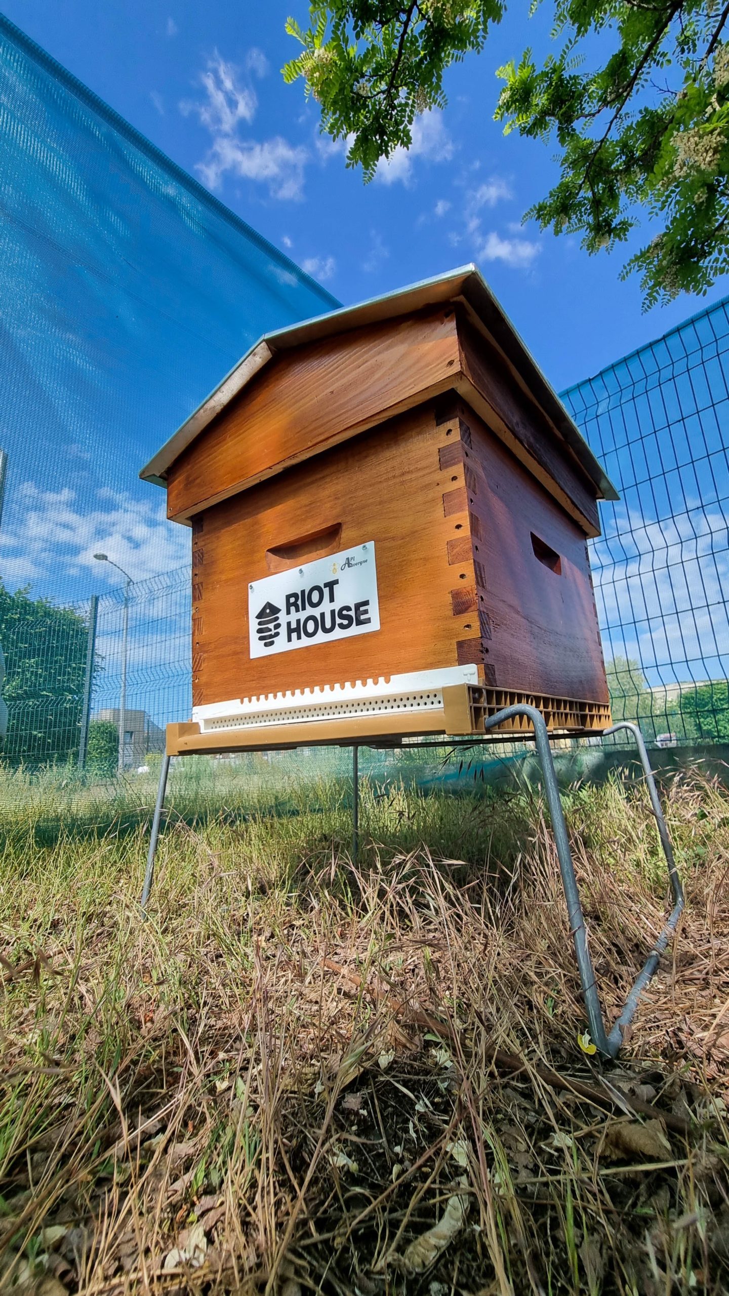 clermont ferrand abeilles apiculture ruches location environnement