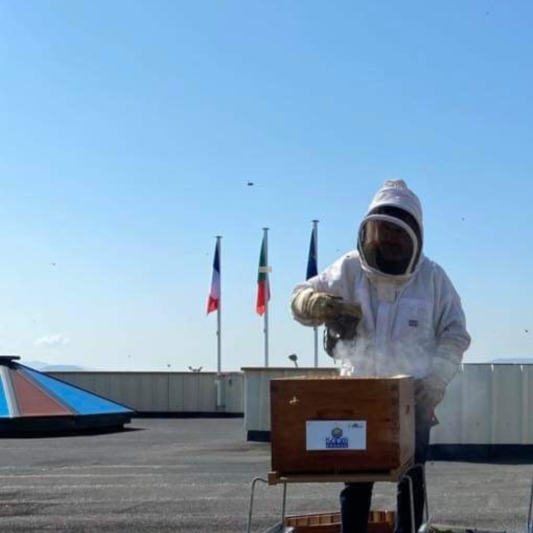 apiauvergne location de ruche en entreprise puy de dome haute loire auvergne