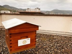 abeilles- location de ruche urbaine en auvergne pour entreprises, collectivités, particuliers