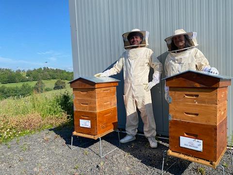 location de ruche urbaine en auvergne pour entreprises, collectivités, particuliers
