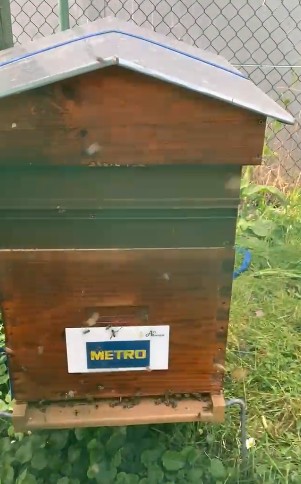 ruche urbaine clermont ferrand auvergne biodiversité RSE