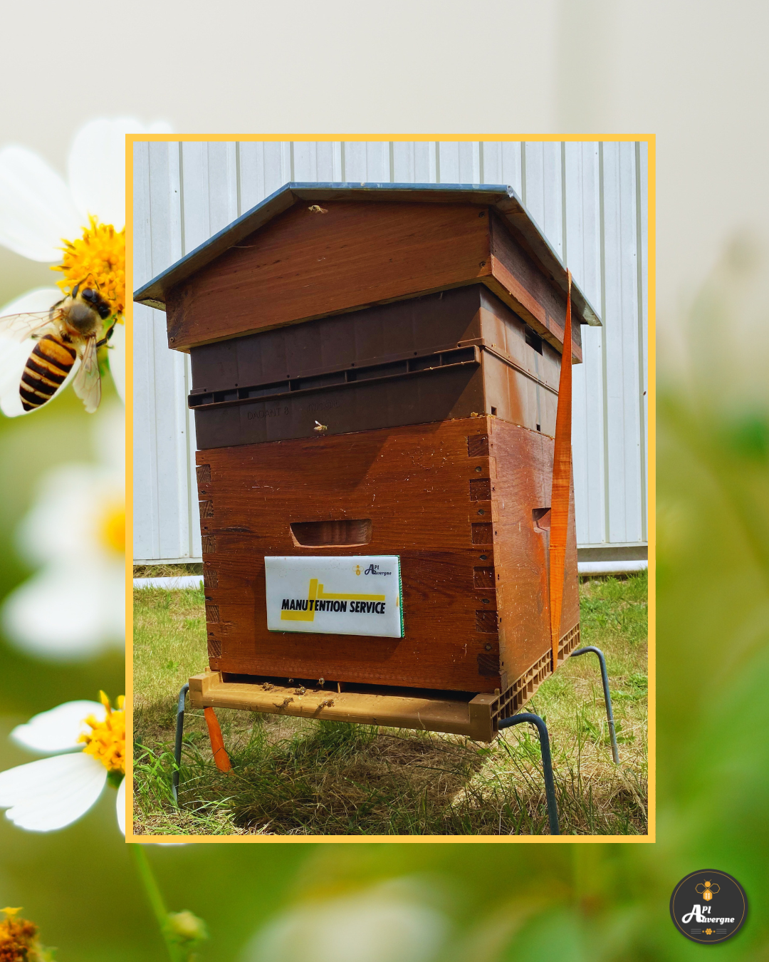 ruche urbaine clermont ferrand auvergne biodiversité RSE