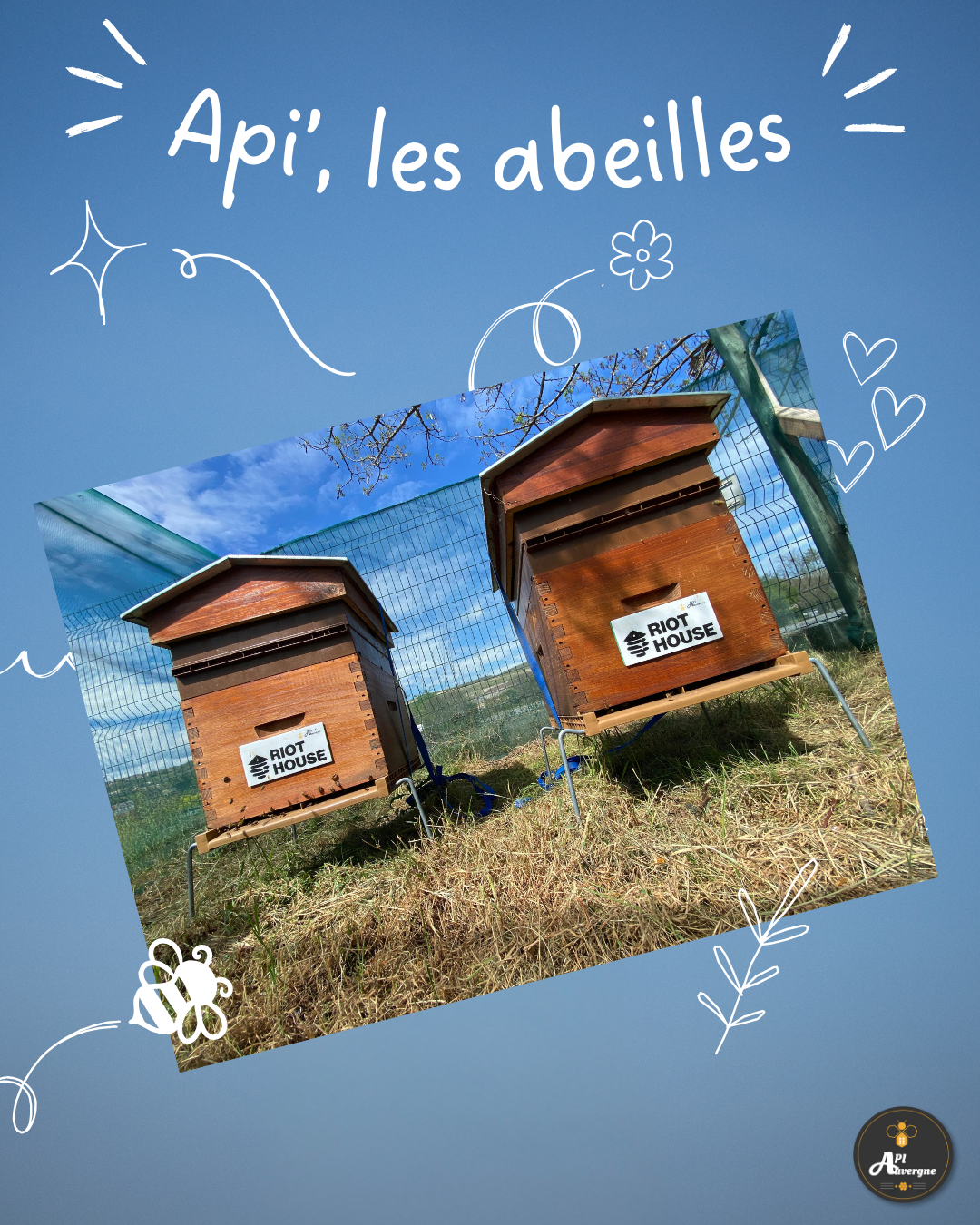 ruche urbaine clermont ferrand auvergne biodiversité RSE