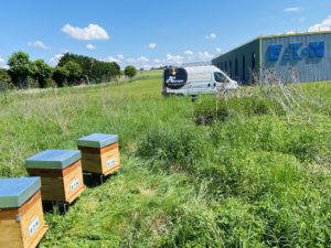 ruche urbaine clermont ferrand auvergne biodiversité RSE