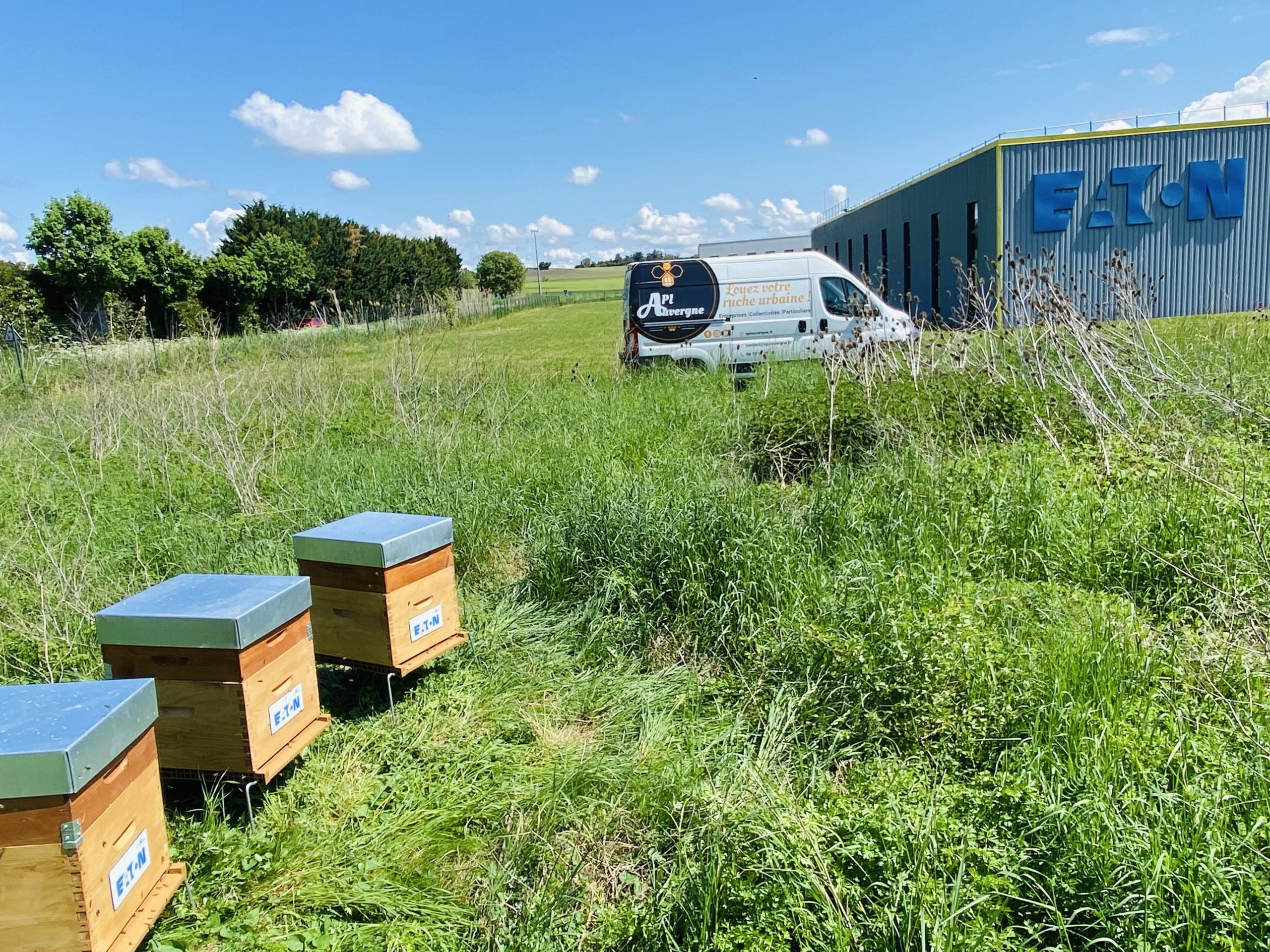 ruche urbaine clermont ferrand auvergne biodiversité RSE