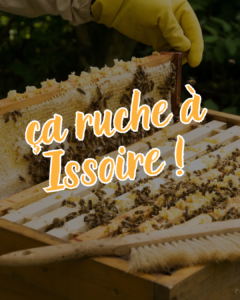 ruche urbaine clermont ferrand auvergne biodiversité RSE aftral