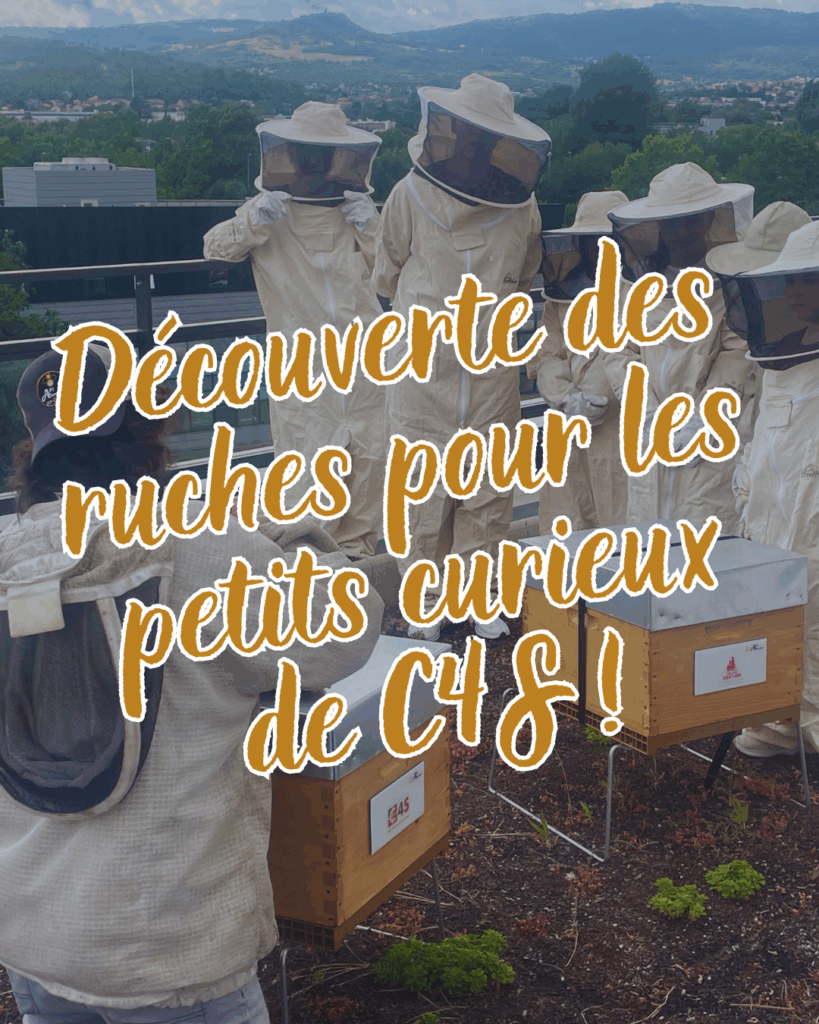 ruche urbaine clermont ferrand auvergne biodiversité RSE C4s
