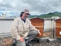 ruche urbaine clermont ferrand auvergne biodiversité RSE privilodges