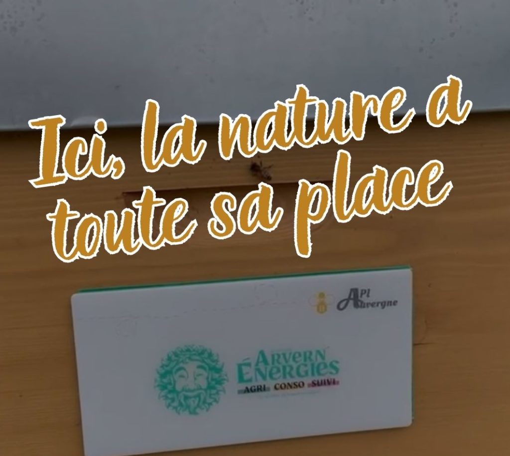 ruche urbaine clermont ferrand auvergne biodiversité RSE