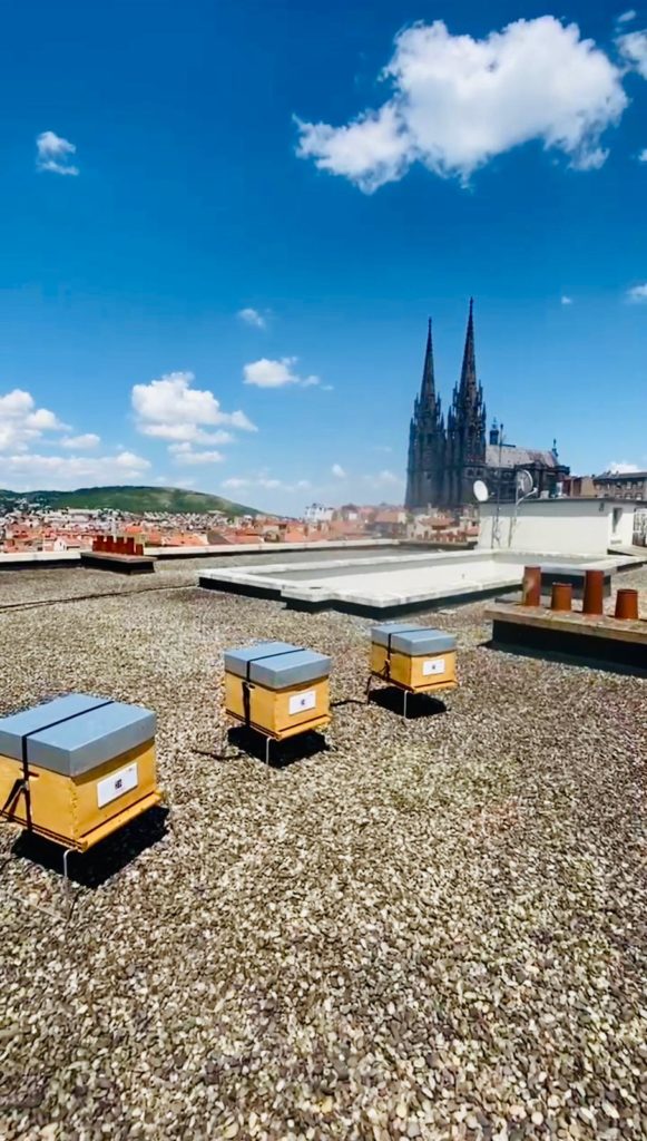 ruche urbaine clermont ferrand auvergne biodiversité RSE