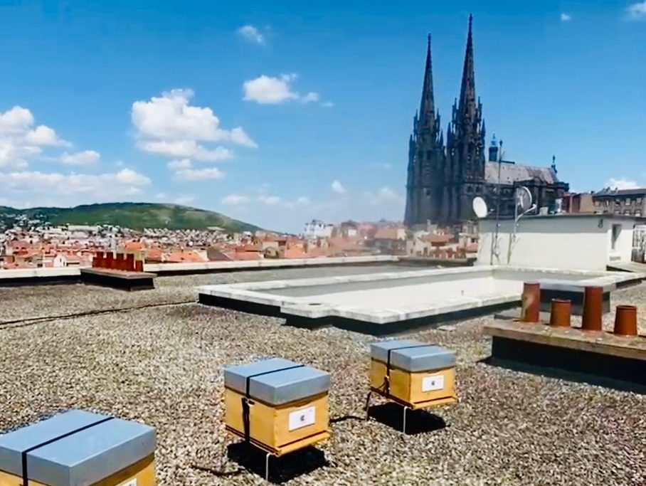 ruche urbaine clermont ferrand auvergne biodiversité RSE