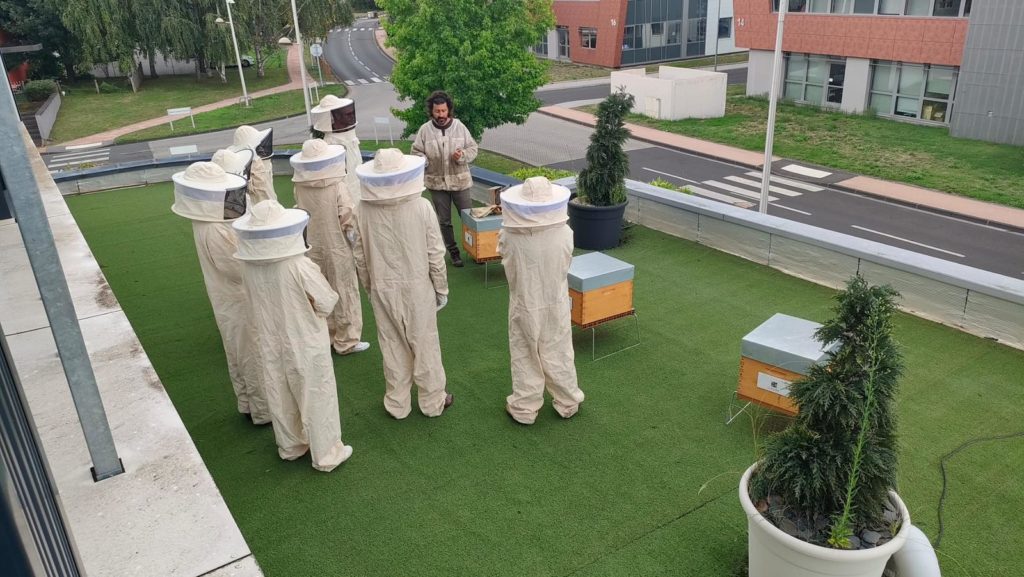 ruche urbaine clermont ferrand auvergne biodiversité RSE