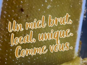 ruche urbaine clermont ferrand auvergne biodiversité RSE