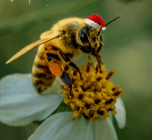 ruche urbaine clermont ferrand apiculture RSE logo fm interview apiauvergne